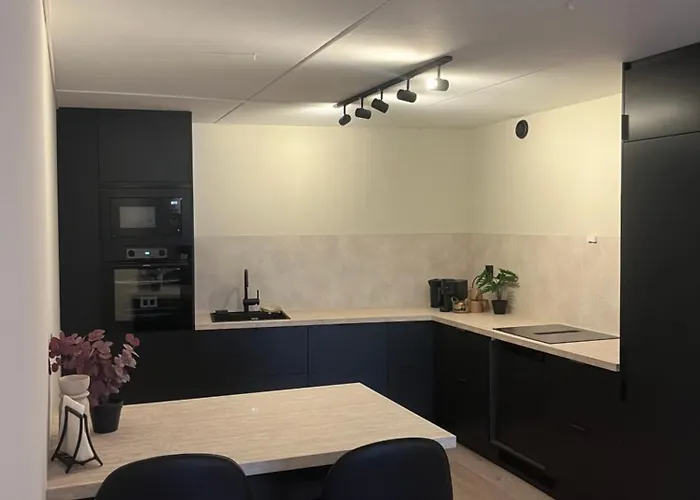 1 Bedroom In Downtown With Parking No Party Or Commercial Activity *