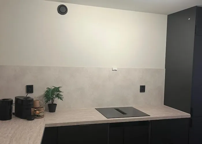 1 Bedroom In Downtown With Parking No Party Or Commercial Activity
