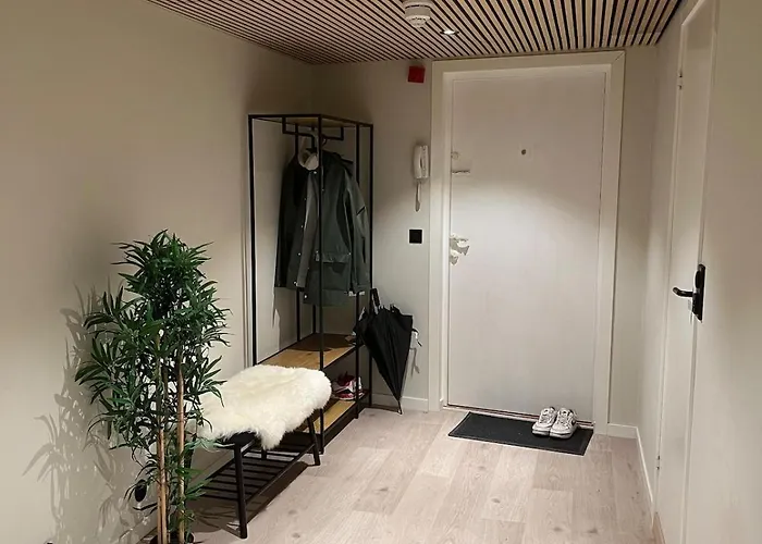 Apartment 1 Bedroom In Downtown With Parking No Party Or Commercial Activity Oslo