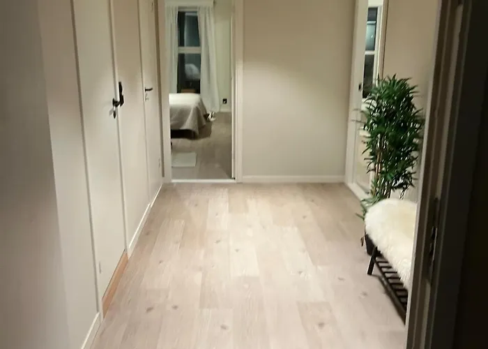 1 Bedroom In Downtown With Parking No Party Or Commercial Activity