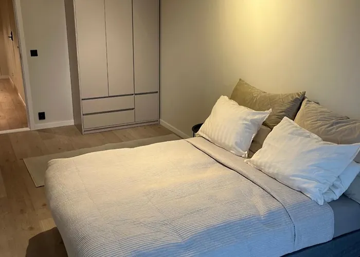 Apartamento 1 Bedroom In Downtown With Parking No Party Or Commercial Activity *